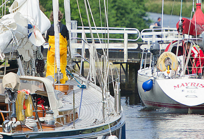 Purchase your license